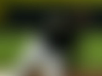 GOLPE A LA ROTACIÓN