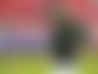 DE MLB A PERICOS VOL. 1