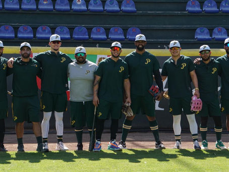 ¿QUIÉN PARA EL JARDIN CENTRAL?