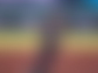 PIROTECNIA EMPLUMADA