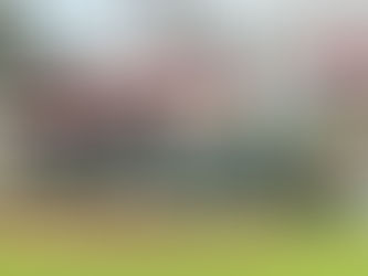 VISITA DE SCOUT DE GRANDES LIGAS A LA ACADEMIA PERICOS DE PUEBLA