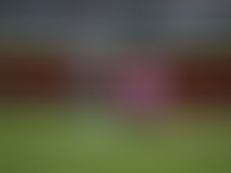 PERICOS Y LEONES DIVIDEN EL DOBLE CARTEL