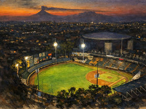 53 AÑOS DE BÉISBOL EN EL ESTADIO HERMANOS SERDÁN
