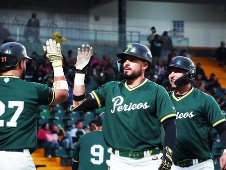 VOLANDO POR BUEN CAMINO