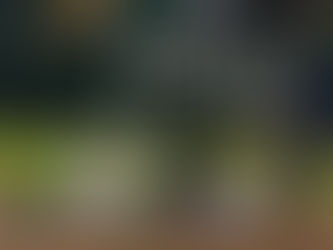 NADA ES LO QUE PARECE