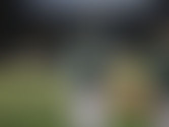 PERICOS SE AFIANZA EN EL CUARTO PELDAÑO
