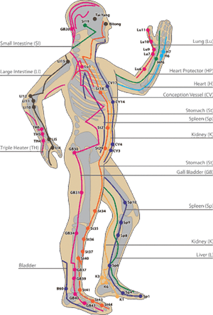 meridian pathways.gif