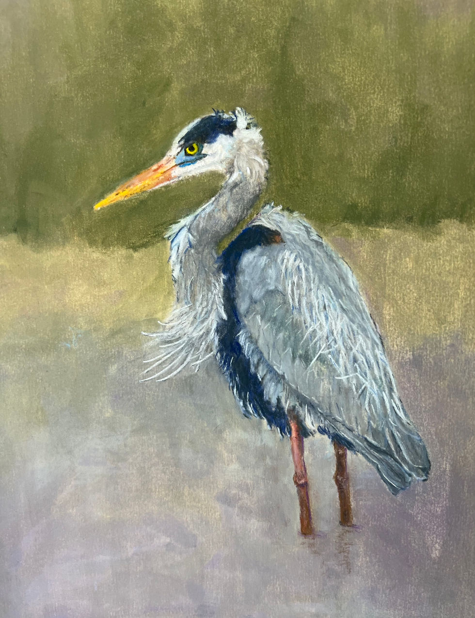Blue Heron
