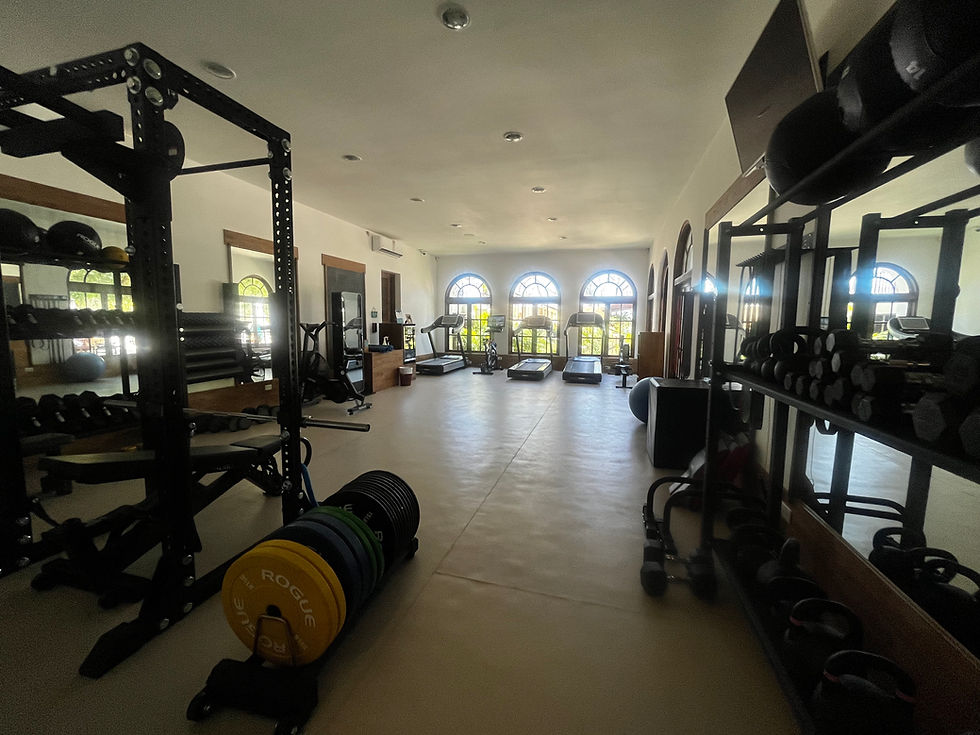 The Gym