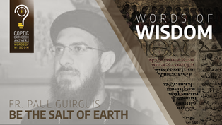 Be the Salt of Earth