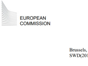 European Commission on Piracy in China 2025