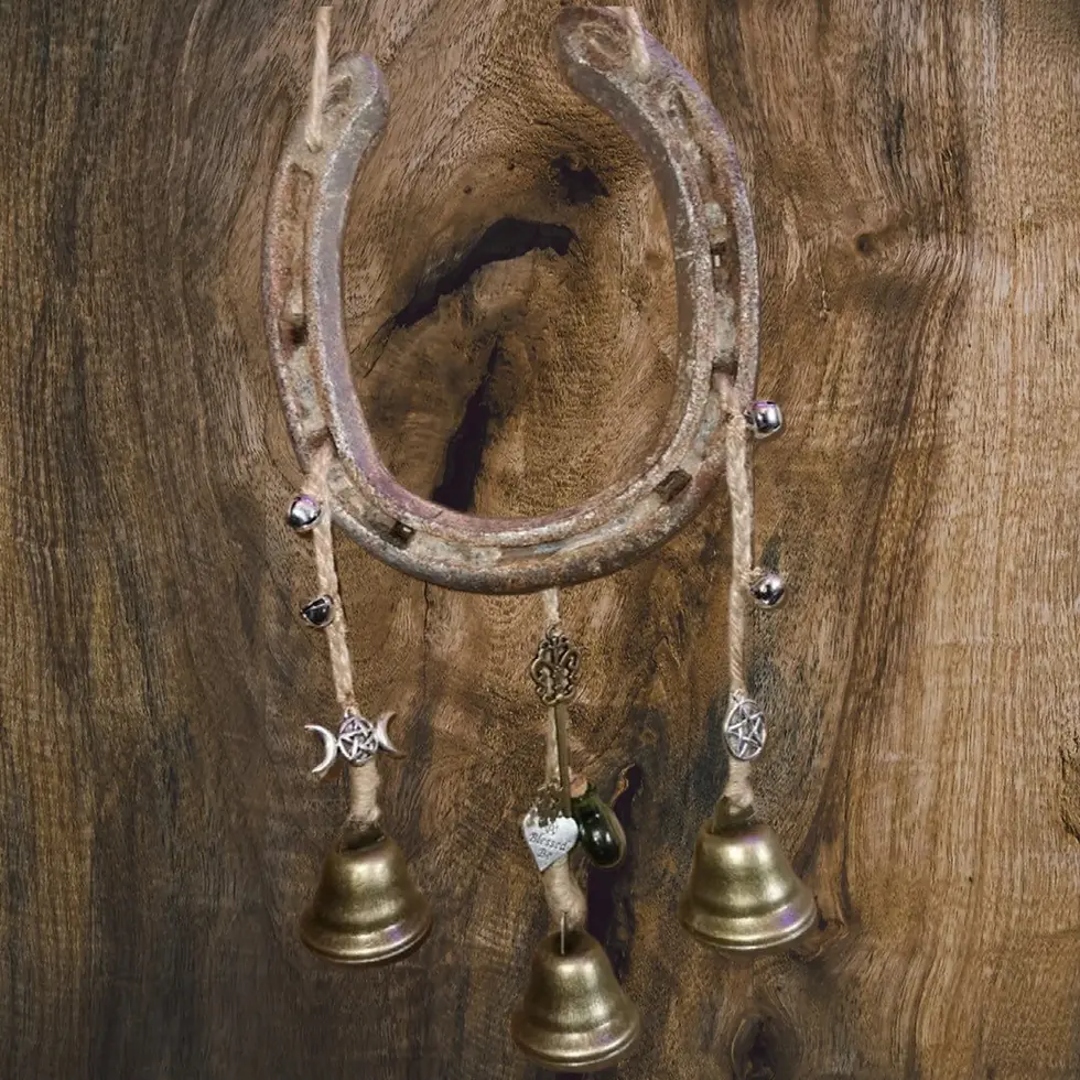 Thumbnail: Horse Shoe Protection Hanger