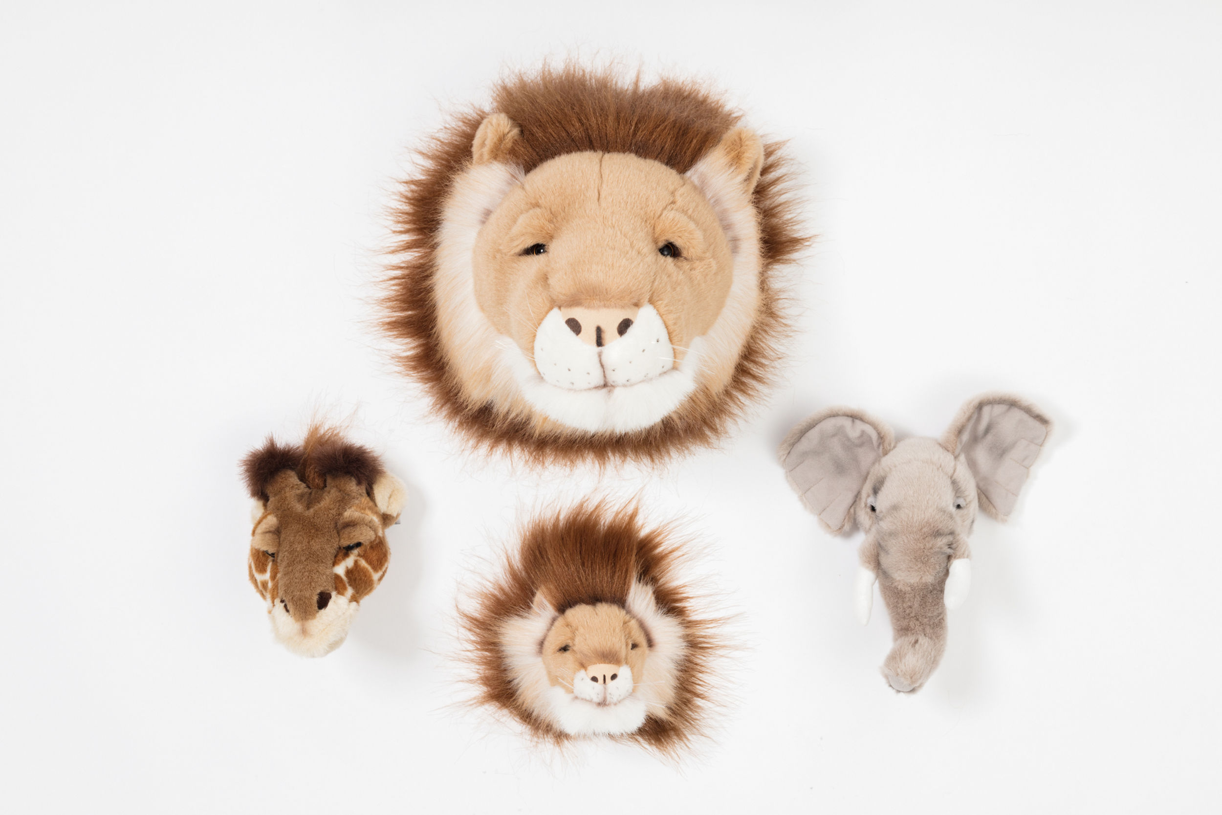 BOX Mini Trophée SAFARI