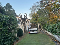 Broyeur de souches et nettoyage après abattage — Indre Paysagiste.