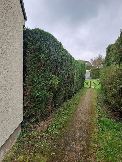 Plantation d'arbustes à La Ferté-sous-Jouarre