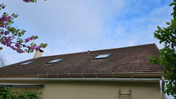 PHOTO-2026-03-23-11-34-14 8_edited