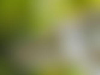 habillage sous toiture pvc roanne finition maison