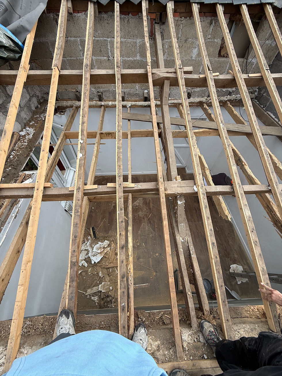 verification charpente bois etat poutres toiture inspection