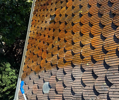 nettoyage de toiture à Annemasse par ABF Toiture