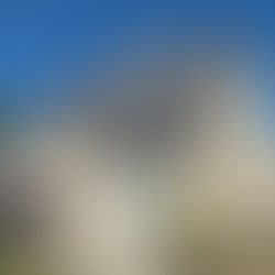 Démoussage de toiture à Carnac – intervention Rudi Couverture