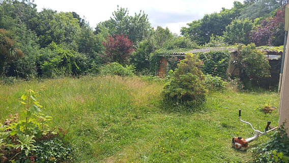 Débroussaillage d’un jardin envahi à Rezé
