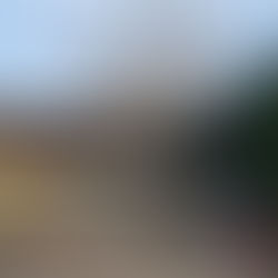 elagage arbre proche maison à sablon