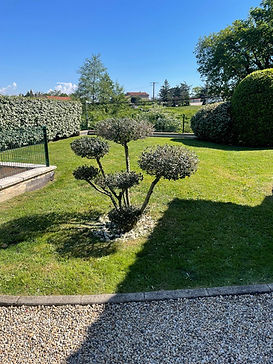 entretien d'espaces verts paysagiste isérois