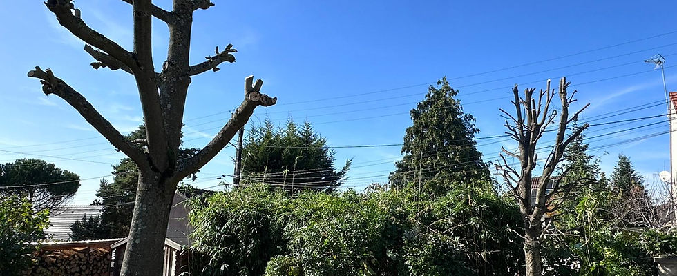 Paysagiste Mogneville