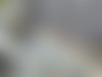 Recherche de fuite de toiture à Plescop (56)