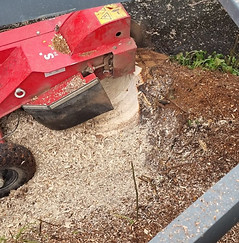Machine utilisée pour rogner une souche d’arbre