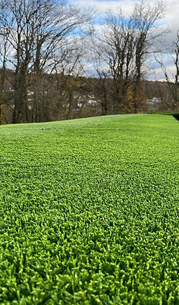 Entretien d'une haie de jardin dans le Pays de Montbéliard
