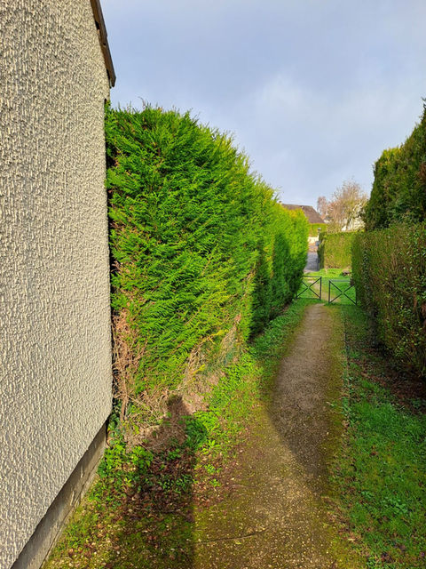 Élagage en hauteur à Mouroux avec nacelle