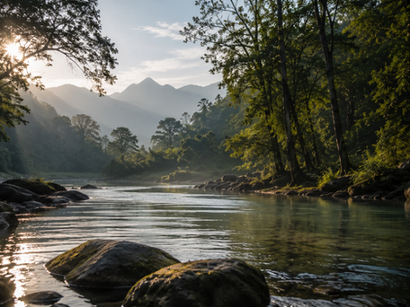 Ondulations de l'eau symbolisant l'équilibre et l'autorégulation naturelle du corps