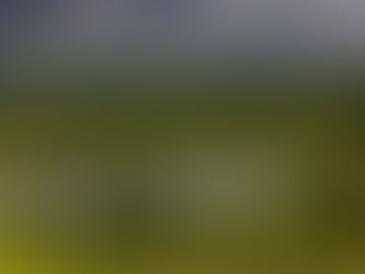 libération émotionnelle et apaisement intérieur EFT paysage naturel