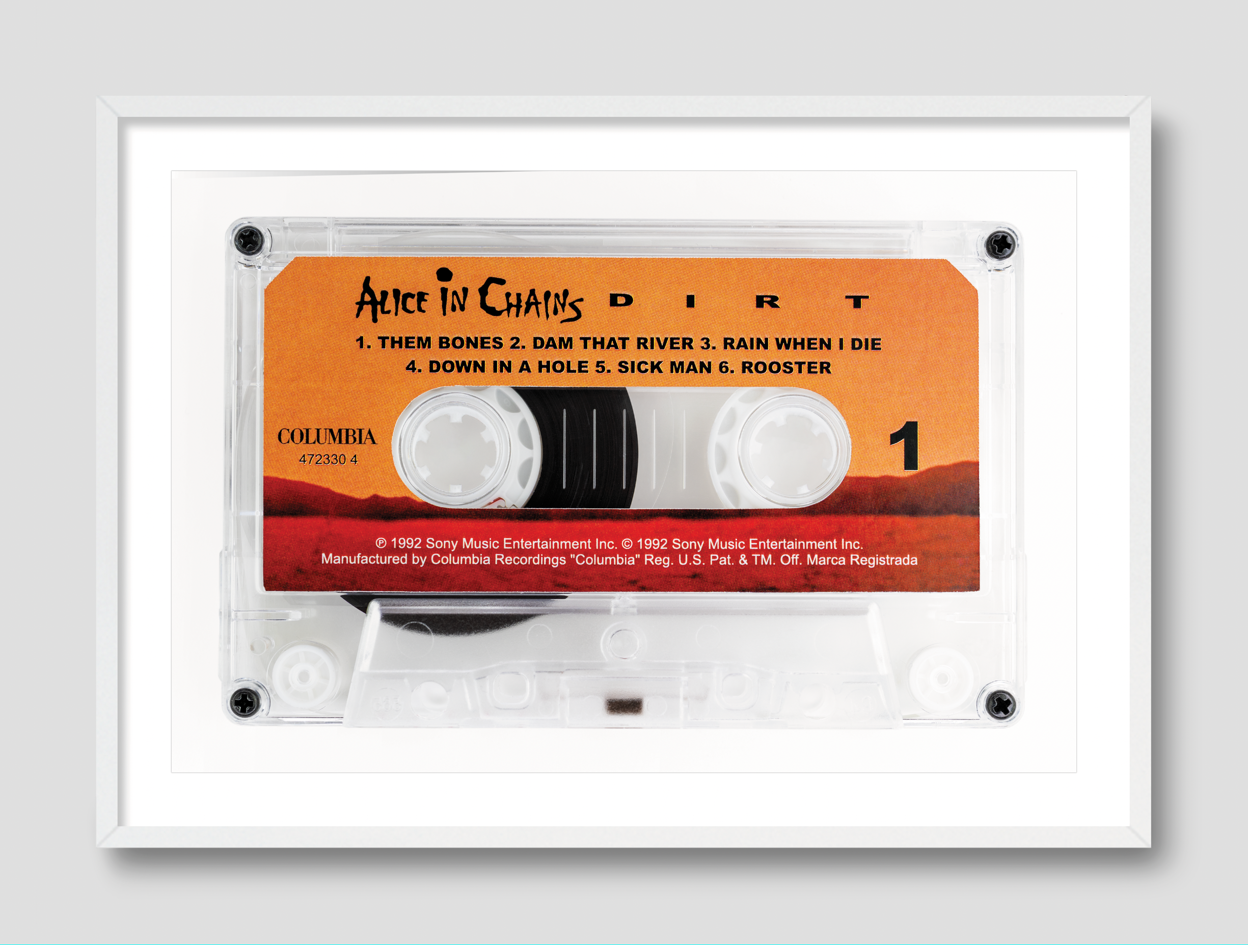 ALICE IN CHAINS DIRT