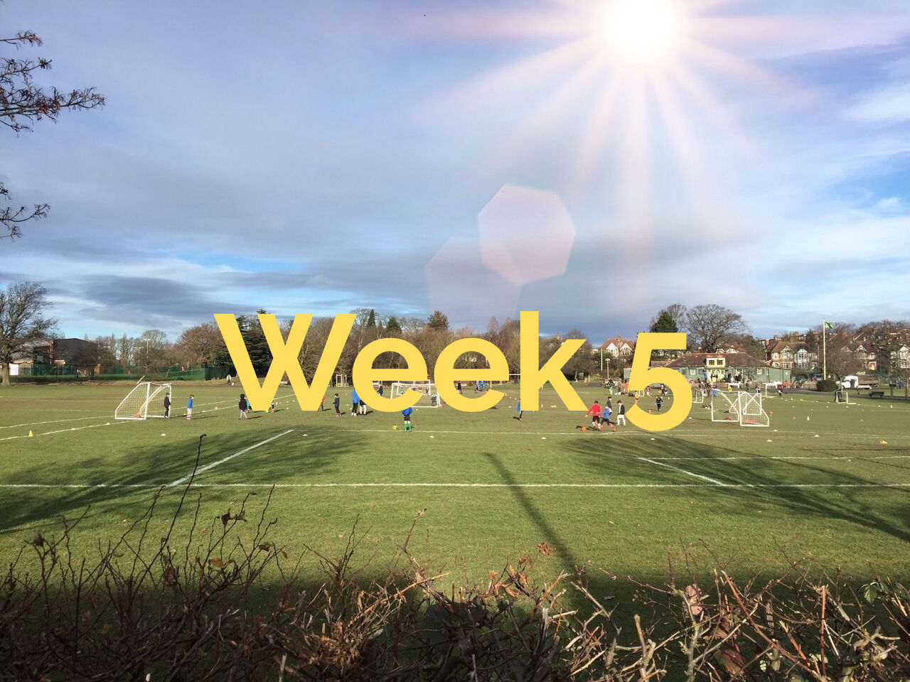 WEEK 5 @ Tambo Rec: 17th Aug - 21st Aug