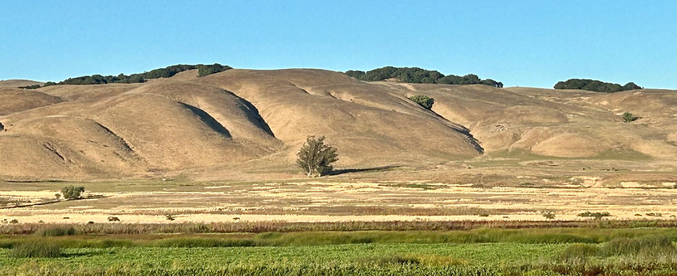 View of Tolay Lake Regional Park in Petaluma, CA, showing rolling hills, open grassland, and clear skies. 