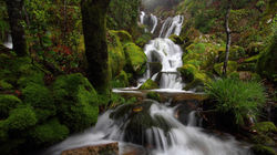 WW_28000000000263602_DE-DE_350199156962485425landscape