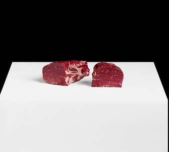 Silver Fern Farms ALMA 6.jpg