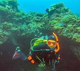 scuba diver underwater viewing the landscape