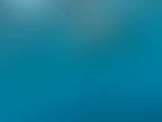 Is Night Diving Safe? Tips for First-Timers