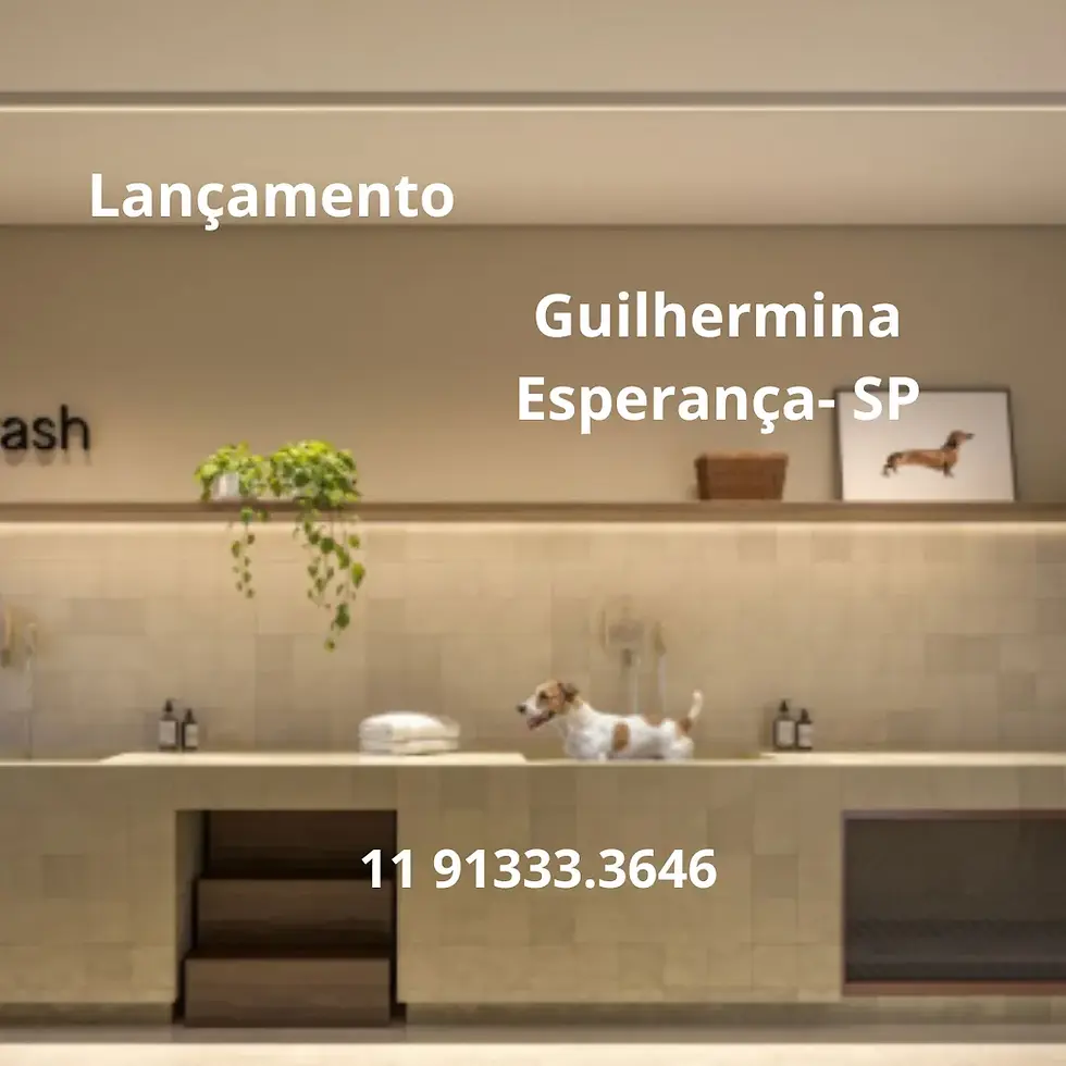 Miniatura: Lançamento Imobiliario Guilhermina Esperança - Dog Wash