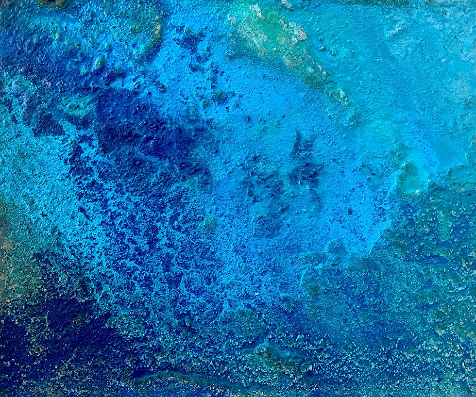 Tropics 1