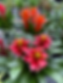 IMG_1844.HEIC