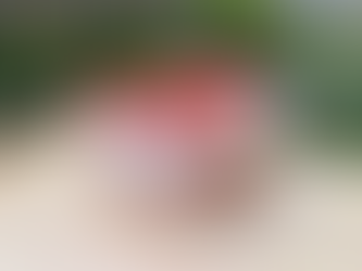 Strawberry Rhubarb Tiramisu | Appetite for Life | Jen Vondenbrink