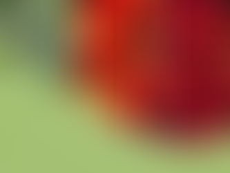 Eating Seasonal - July