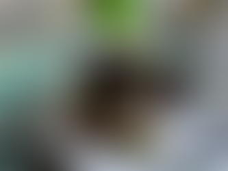 Spinach and Feta Turkey Burgers | Appetite for Life | photo and recipe by Jen Vondenbrink