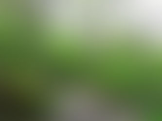 Day 22 to Hospital da Condesa - Rocky lives!