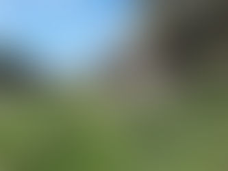 Jabal Moussa - Welcome to the Garden of Eden