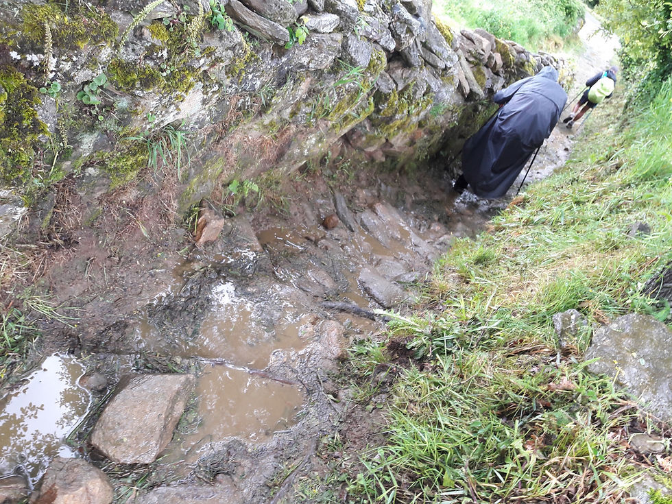 Camino de Santiago - to Palas de Rei